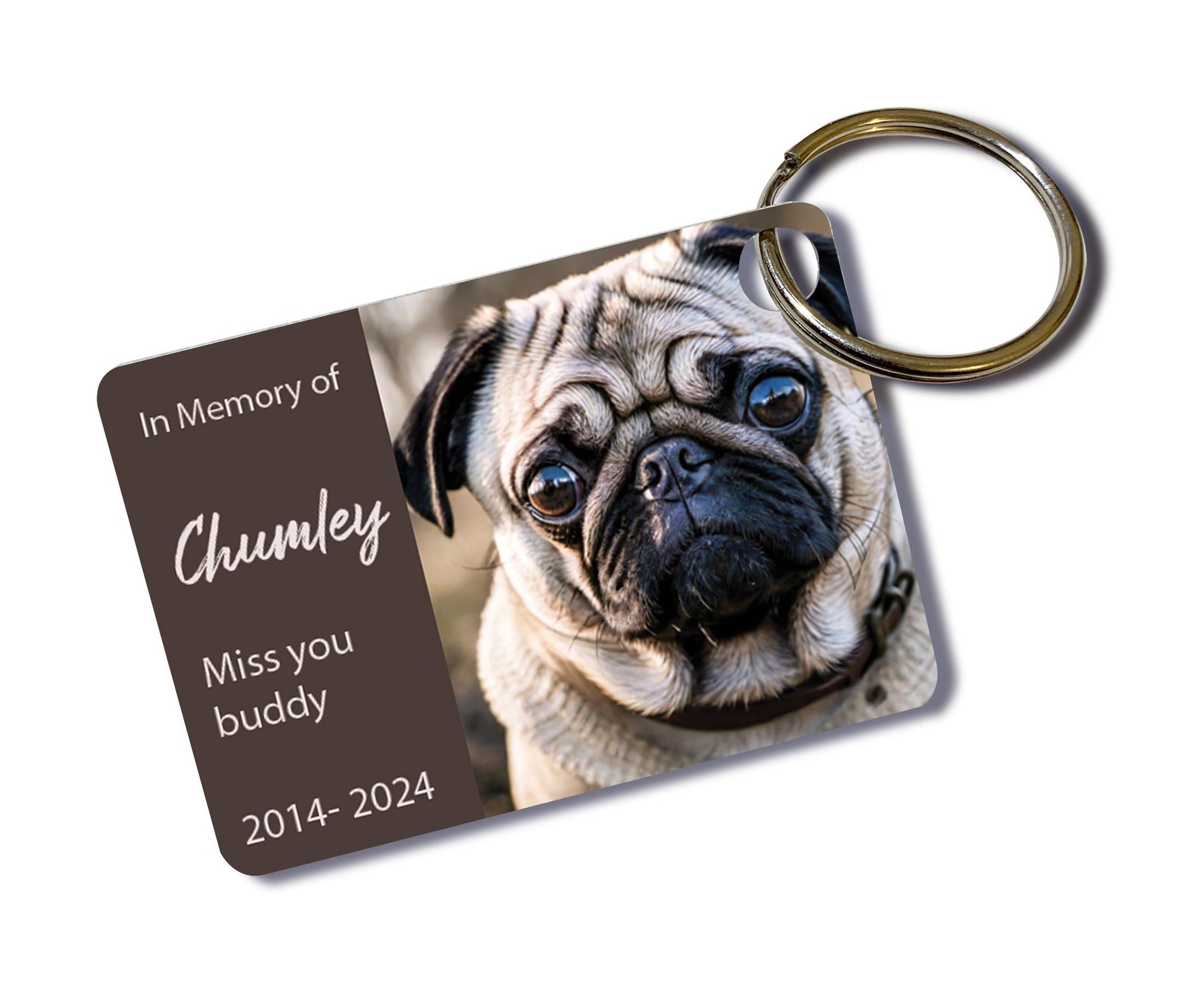 Custom Pet Memorial Keychain Keeping them close. Customized Pet Tribute Keychain/Forever in Our Hearts/Pet Remembrance Keychain/Pet Tribute