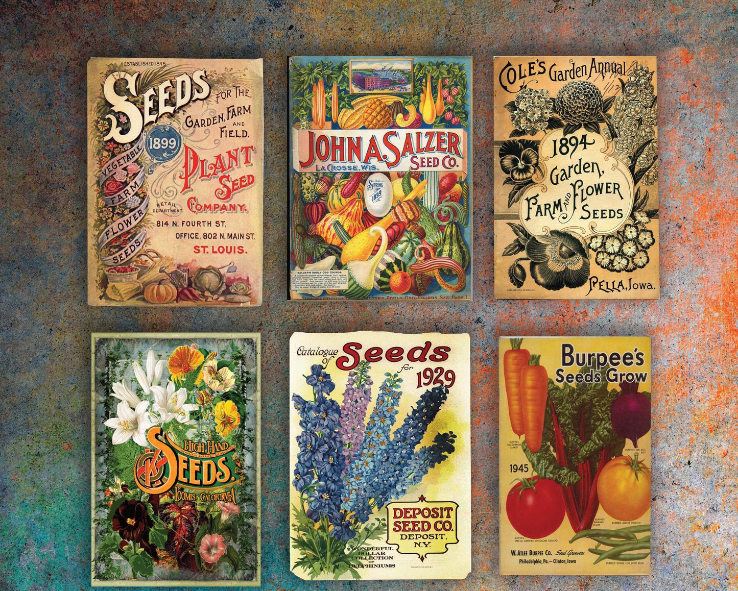 Personalized Seed Collector Gift Seed Collector Sign Rustic Garden Decor Perfect Gift for Seed Collectors | Gardeners