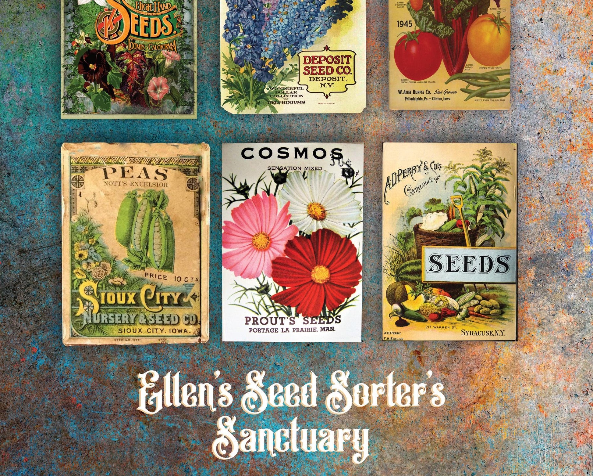 Personalized Seed Collector Gift Seed Collector Sign Rustic Garden Decor Perfect Gift for Seed Collectors | Gardeners